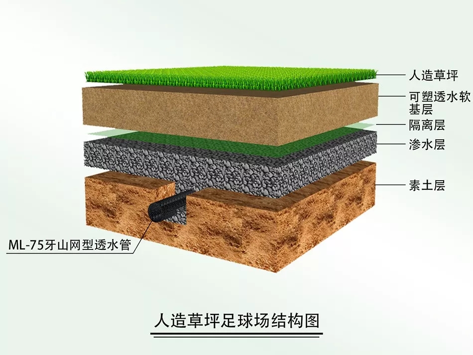 1571303253529032.jpg